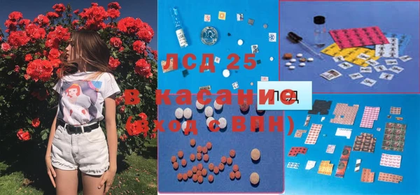 PSILOCYBIN Балахна