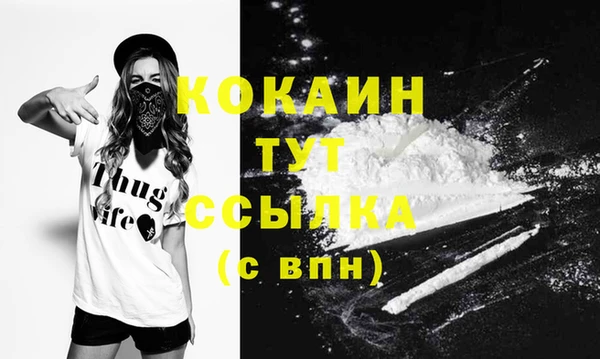 сатива Сатка