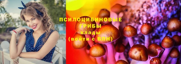 стафф Баксан
