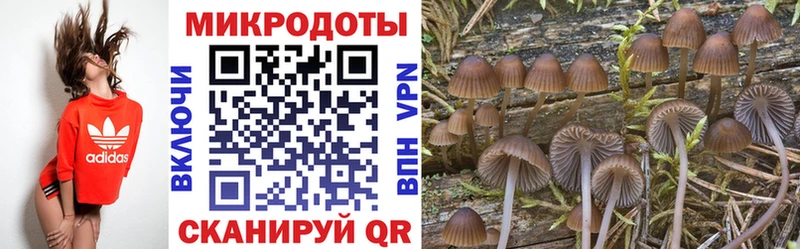 Псилоцибиновые грибы Cubensis  ссылка на мегу как войти  Зея 